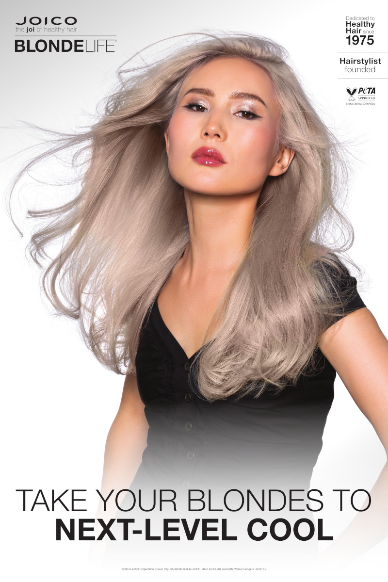 silverlight model poster
